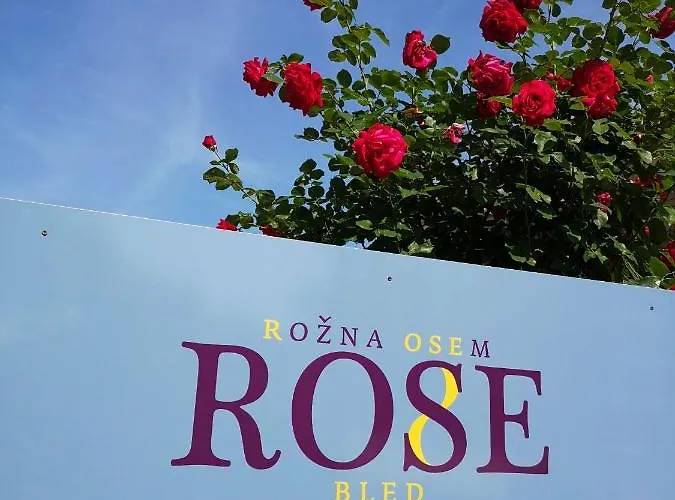 Rose 8 Bled