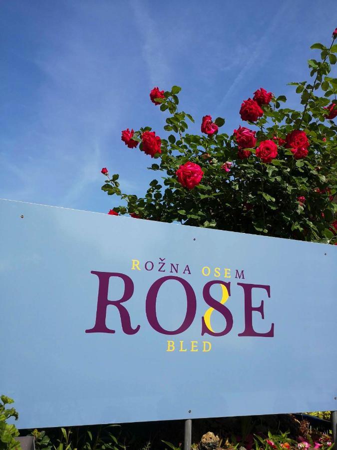 Rose 8 Apartament Bled
